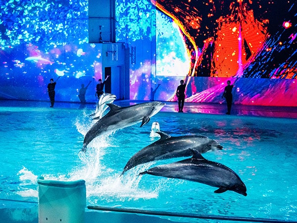 実際の写真