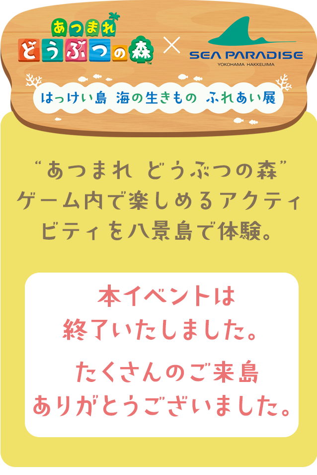 はっけい島　海のいきもの　ふれあい展