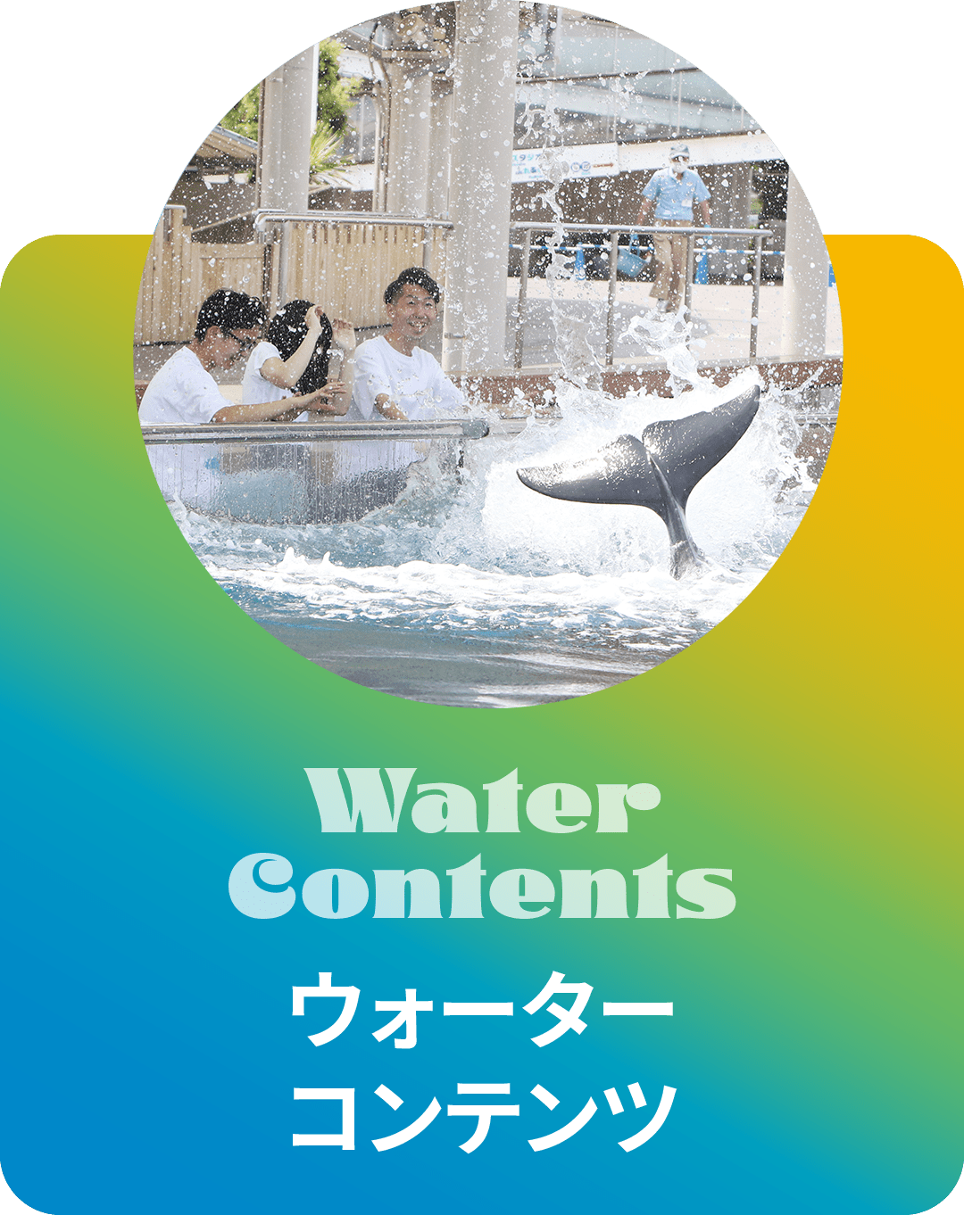 WATERu0026MUSIC FES. Supported by ナタリー スペシャルコラボ アイナ・ジ・エンド | 横浜・八景島シーパラダイス